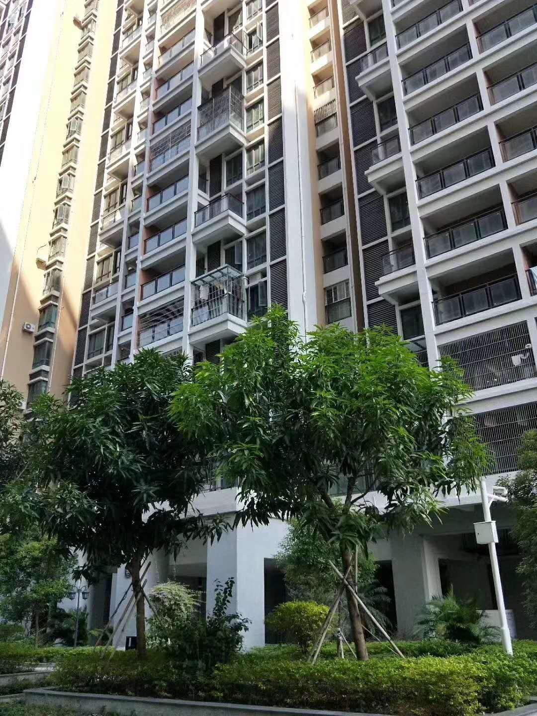 沙井海岸城旁【万丰花园】6栋1200户大型花园小区,现推出最后保留户型